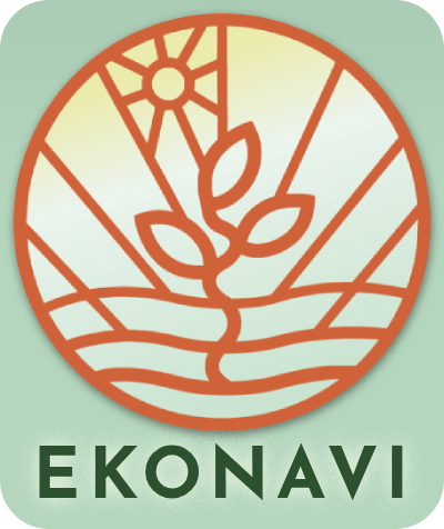 Ekonavi